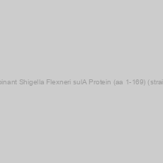 Image of Recombinant Shigella Flexneri sulA Protein (aa 1-169) (strain 8401)